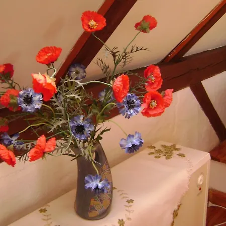 Farm stay Agroturystyka Stary Grabiaz *