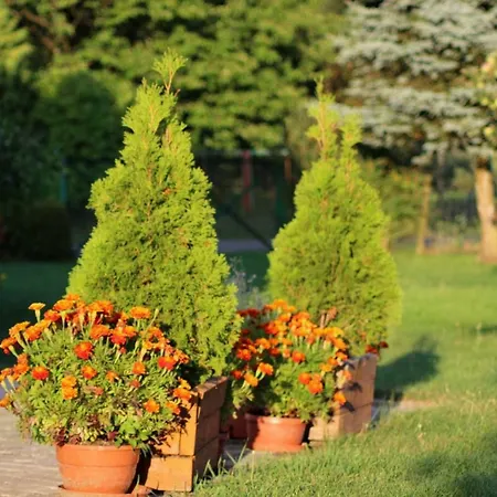 Agroturystyka Stary Grabiaz * Barwice